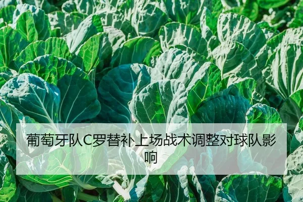 葡萄牙队C罗替补上场战术调整对球队影响