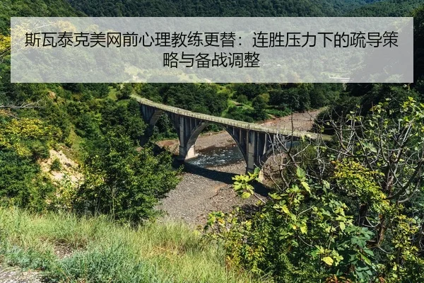 si-wa-tai-ke-mei-wang-qian-xin-li-jiao-lian-geng-ti-lian-sheng-ya-li-xia-de-shu-dao-ce-lve-yu-bei-zhan-tiao-zheng-2-532.jpg